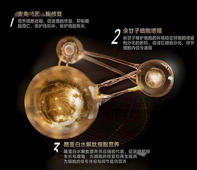 外汇xm平台代理今日外汇行情动态解析，你的理财方针准备好了吗？